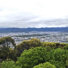 展望台からの眺め