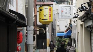 炭火焼あなご、白焼き、穴子のお造り盛り合わせ、穴子の骨せんべいなどをいただきました。