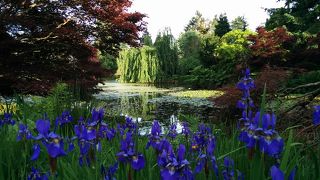 年中楽しめる素敵な公園