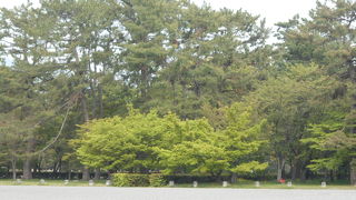 ごく普通の広場です