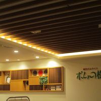 ポムの樹 天王寺MIOプラザ館店