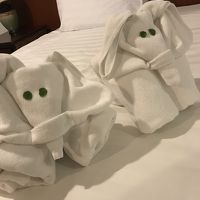 可愛いぞうさんタオルがお出迎え♡