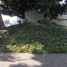 今の古墳です。