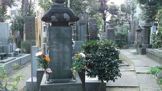 里見八犬伝で知られる滝沢馬琴の墓