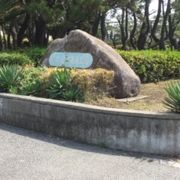 広い公園