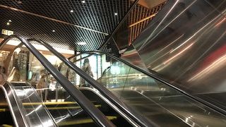 美味しいレストランの数々