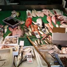新鮮そうな魚たち