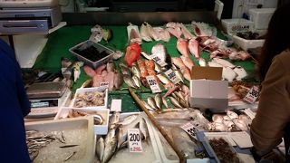新鮮そうな魚たち
