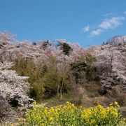 まさに桃源郷