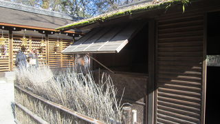 三角デルタの先、京都を代表する古社