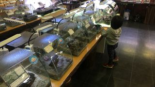 充実したすごい展示。