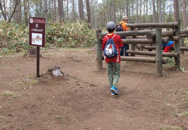 飯綱高原の公園 植物園 クチコミ人気ランキング フォートラベル 長野県 飯綱高原の公園 植物園 クチコミ人気ランキング フォートラベル 長野県