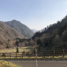 紅葉には遅かった。