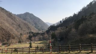 紅葉には遅かったです