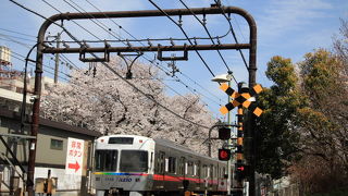 京王本線への乗り換えに便利