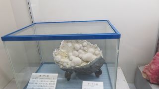 小さいですが見ごたえあり