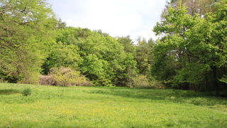 ふれあい広場 (武蔵丘陵森林公園)