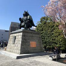 満開の桜と信玄像