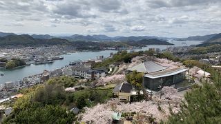 桜の時期にぜひ！