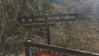 大山への入り口のひとつ