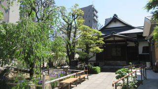 小鳥が鳴いていました