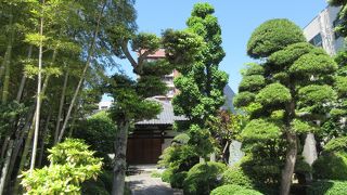 竹林があります