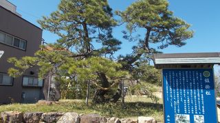 浜松城公園の南のエリアにあります。