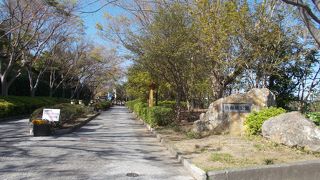 浜松城址が今は公園です。