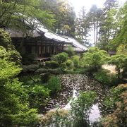 お花のお寺