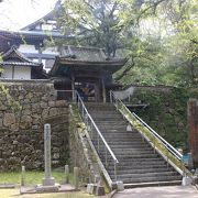 細島のお寺の国指定文化財の庭園　無料です