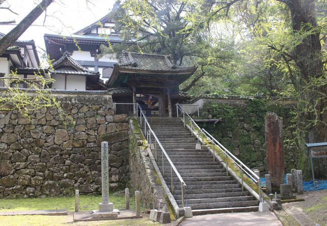 細島のお寺の国指定文化財の庭園　無料です