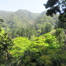 まさに山の中です