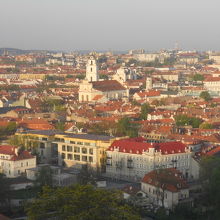 丘からの眺めです