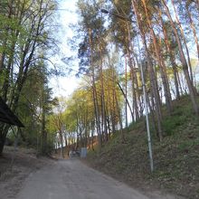 丘までの道のり