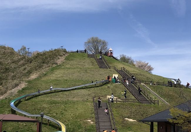 グランディ21 宮城県総合運動公園 クチコミ アクセス 営業時間 多賀城 塩釜 利府 フォートラベル グランディ21 宮城県総合運動公園 クチコミ アクセス 営業時間 多賀城 塩釜 利府 フォートラベル