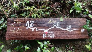 雨のせいでリアル猫ちゃんはいませんでしたが…