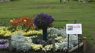 お台場の公園です