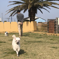 館山ディアナ 写真