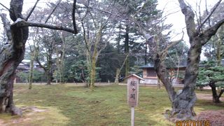 春の季節がベストのようです