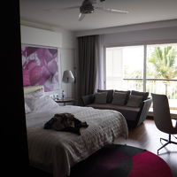 窓が大きく、ベッドから海が見えます