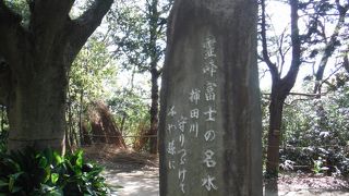 のんびりと散歩しました