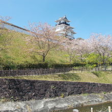 小高い丘の上に天守閣があります。