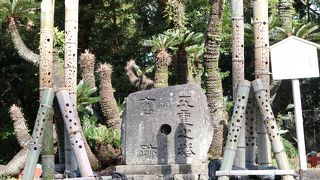 ちょっとわかりにくいかな？