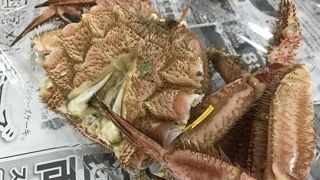 函館の朝ごはんはここで！