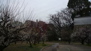 南東の方にあります