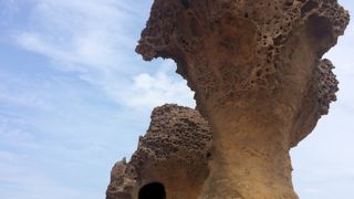 この自然を是非間近でご覧下さい