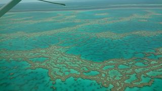 small chanceと言っていたけれど