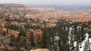 ビジターセンターから一番近いポイントですがシャトルバスで行くと最後のポイント