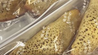 元祖むらすずめ