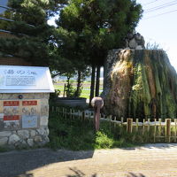 玄関前の湯の滝も温泉